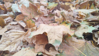 Дожди и -1°C: прогноз погоды на выходные в Самаре