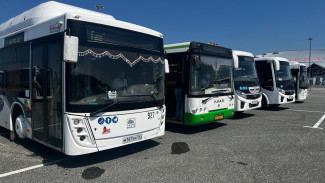 В Самарской области с 1 сентября 2026 года введут электронный реестр пассажирских перевозок