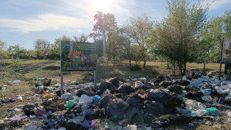 В Самарской области ликвидировали незаконную свалку