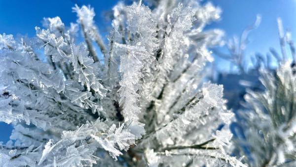 Народные приметы: 20 февраля. Не делайте этого в день Луки и Могущницы, если не хотите лишиться главного