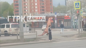 На Московском шоссе в Самаре заметили бегущего динозавра