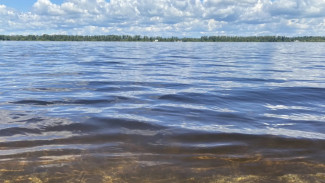 В Самарской области вода в Волге прогрелась до +24,5 градуса