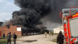 В Самарской области полиция оцепила место гигантского пожара