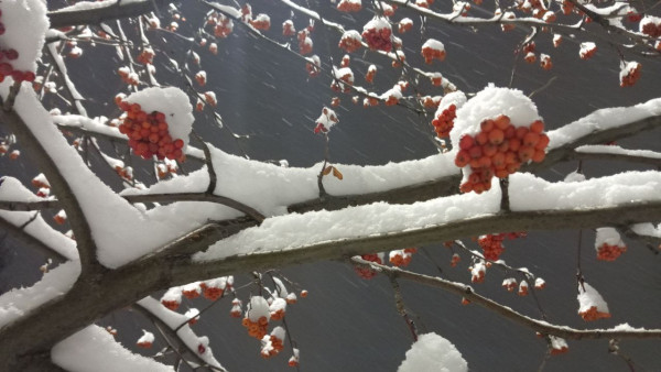 Никола Зимний 19 декабря: как провести день, чтобы избавиться от долгов