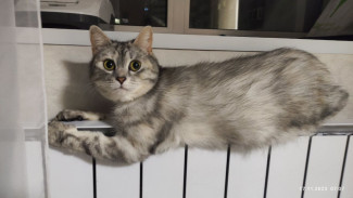 В Самаре назвали дату подключения тепла в жилых домах