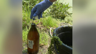 В реке Падовка обнаружены источники загрязнения: проводится расследование