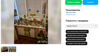 В Самаре продают коллекцию лягушек за 1 млн рублей