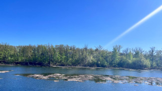 Народные приметы 15 июня: не делайте этого в Зеленые святки, если не хотите навлечь беду