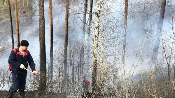 Появились кадры последствий поджога вандалом склона у Грушинской поляны