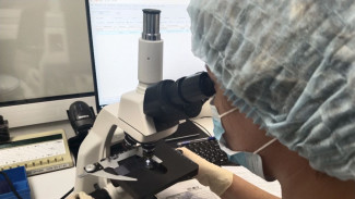 Самарцам рассказали про новый метод для быстрого обнаружения возбудителя шигеллеза