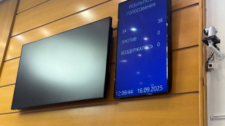 Самарская Губернская Дума утвердила корректировки бюджета 2025 года