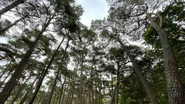 Народные приметы на 9 октября: почему в день Ивана Богослова нельзя начинать новые дела 