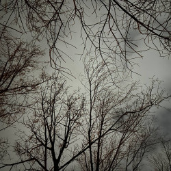 На Самарскую область обрушится мощный ветер 4 ноября