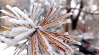 Самарские синоптики рассказали, когда в регион вернутся январские морозы
