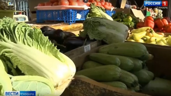 В Самаре открылись сезонные сельскохозяйственные ярмарки