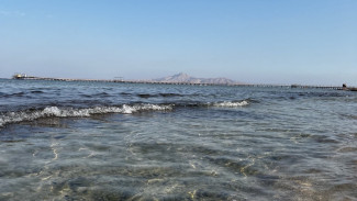 Самарчанка попалась в сети мошенников, когда покупала путевку в Абхазию 