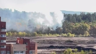 В Тольятти 25 сентября загорелся лесной массив