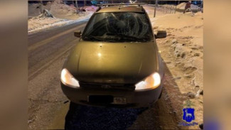 Мужчина в Тольятти переходил дорогу на красный и попал под машину