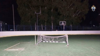 Глава СКР ждет доклад о смерти школьника на футбольном поле под Самарой