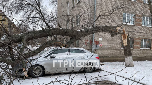 Последствия ночного урагана 14 декабря: в Самаре дерево протаранило автомобиль