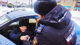 В Самарской области 23 февраля полицейские устроили специальный рейд по водителям