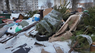 Самарцы начали массово избавляться от новогодних елок 