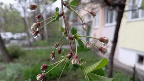 Гороскоп на 23 апреля: Прилив энергии у Овнов, внутреннее согласие у Весов, особая концентрация у Стрельцов 