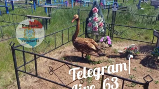 "Переселение душ": на кладбище под Самарой заметили таинственного посетителя
