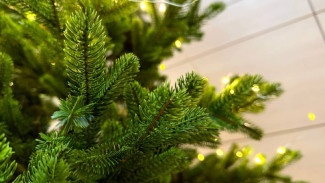 Названы точные адреса, где в Самаре будут работать 140 елочных базаров