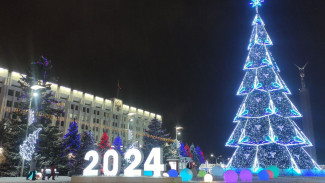 Год Темного Лося: советы на 2024 год в записях славянского календаря 