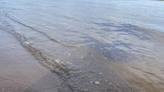Вода в Волге в Самарской области прогрелась до 22 градусов
