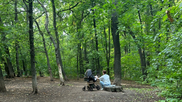 Самарцы пожаловались на состояние парковой зоны на ул. Солнечной