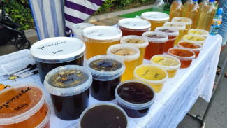 Пасечники назвали самый лучший мед в Самарской области