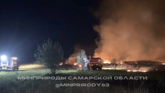 Под Самарой потушили крупный лесной пожар на 2 гектарах