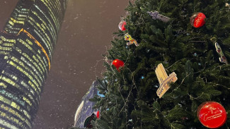 Жителям 63-его региона показали, как выглядит самарская новогодняя елка в Москва-Сити