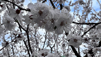 13 марта — день Василия Капельника: что нельзя делать, чтобы не стать нищим