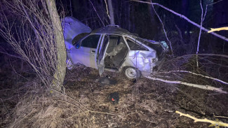 Стало известно количество пострадавших в перевернувшемся автомобиле под Самарой
