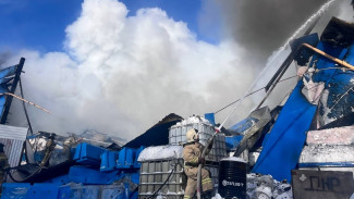 Под Самарой пожарные борются с огнем на складе крупной компании