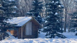 От -37°C до +23°C в марте: синоптики рассказали об аномальной погоде в Самаре