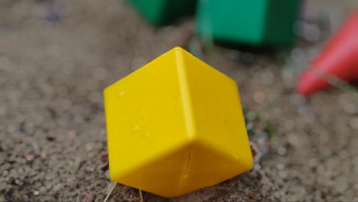 Самарчанка две недели разыскивала похищенных сыновей в Австралии