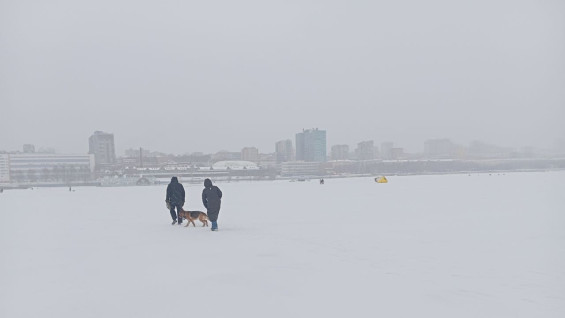 Самарцам рассказали, как защитить сердце в февральские холода 
