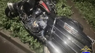 Байкер на Harley-Davidson сбил пешехода и влетел в столб в Самаре