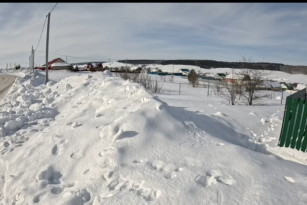 Под Самарой обнаружены два очага смертельной болезни 