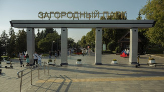 Освещение Загородного парка в Самаре обсудили на заседании в министерстве