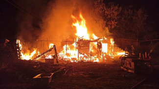 Центр ЧС назвал число погибших в ночном пожаре под Самарой 26 июня