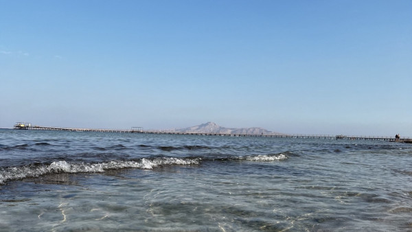 Самарчанка попалась в сети мошенников, когда покупала путевку в Абхазию 