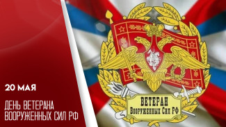 20 мая - День ветеранов Вооруженных сил РФ: история праздника и поздравительные открытки