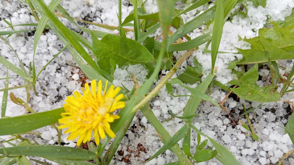 Самарцев предупредили о снеге в октябре