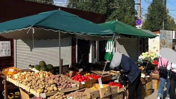 Незаконную торговлю в Самарской области проверит СК РФ
