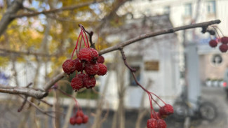 Гороскоп на 6 ноября: этим трем знакам улыбнется удача